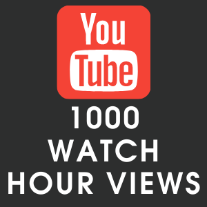 Youtube 1000 Watch Hour Views