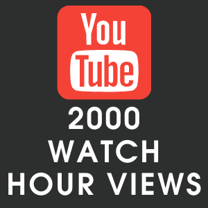 Youtube 2000 Watch Hour Views
